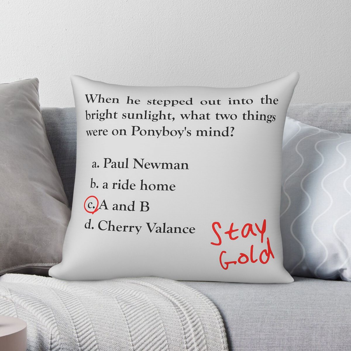 Home Decor Quiz Free - アウトサイダーズポニーボーイクイズクエスションスクエア枕カバーポリエステルリネンベルベットクリエイティブジップ装飾スローピローケース車のクッションカバー