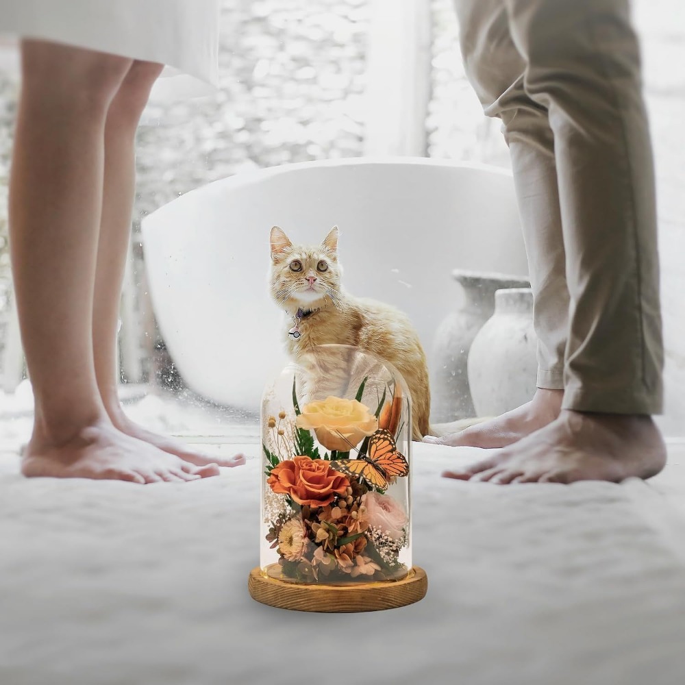 エレガントなプリザーブドフラワー：特別な機会のための永遠の愛 - Home Decor Tulip のレビューと価格