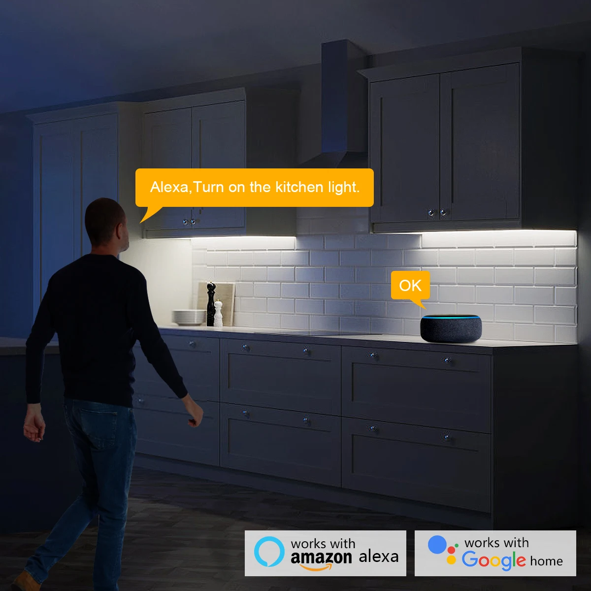 スマートホーム Zigbee Tuya 音声制御 LED ラ - Home Decor App のレビューと価格