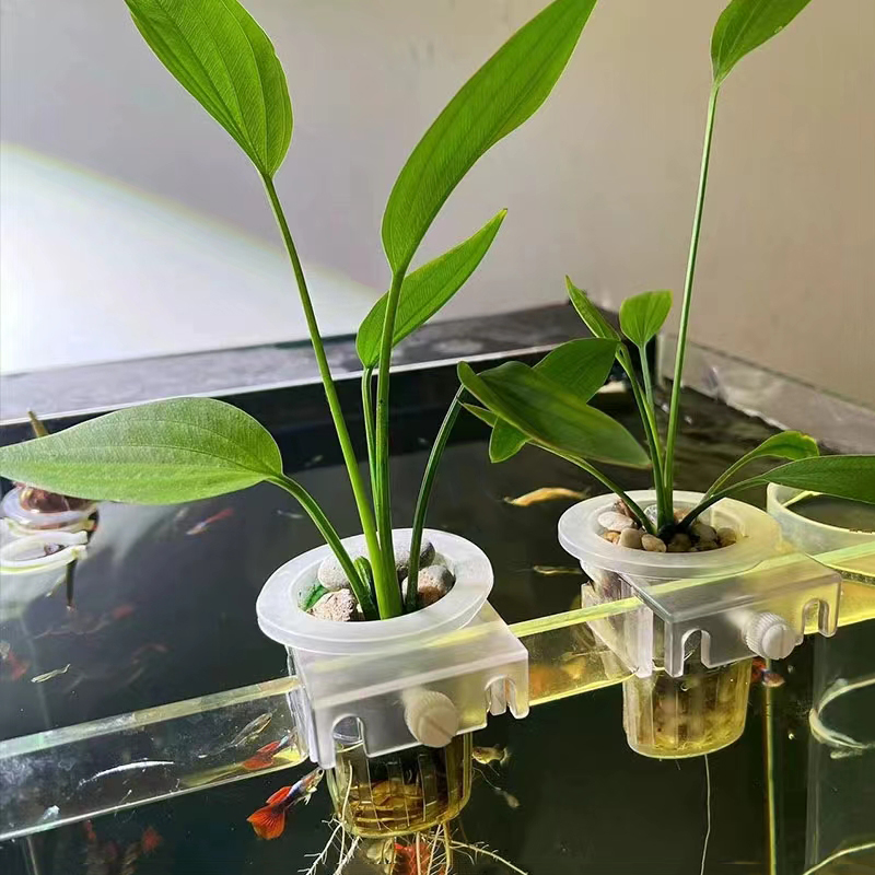 水槽、水族館の植栽バスケット、水グラスカップ、植物ホルダーの - Woven Wall Basket のレビューと価格