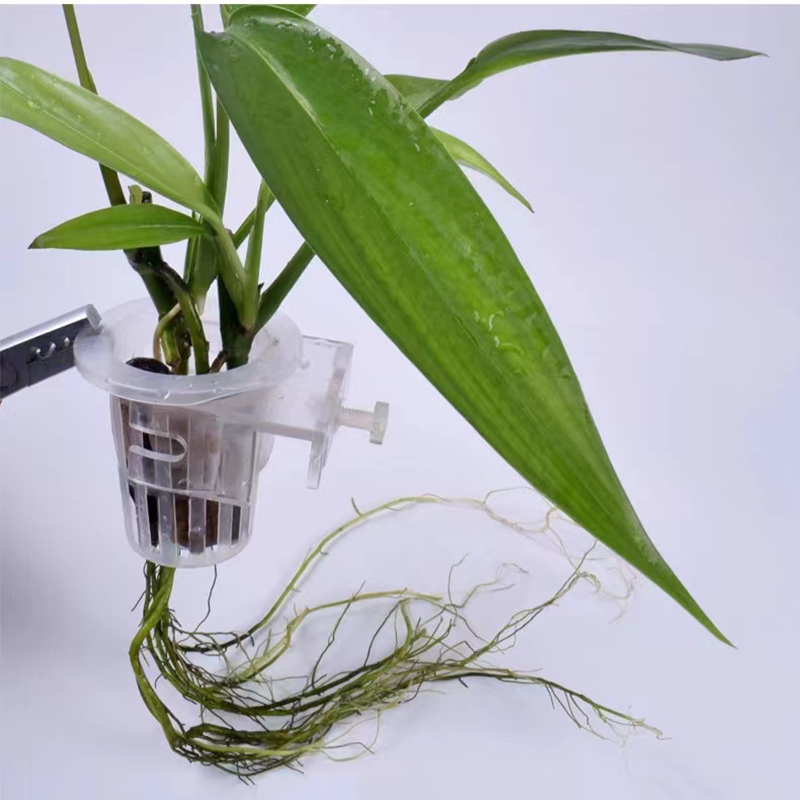 水槽、水族館の植栽バスケット、水グラスカップ、植物ホルダーの - Woven Wall Basket のレビューと価格